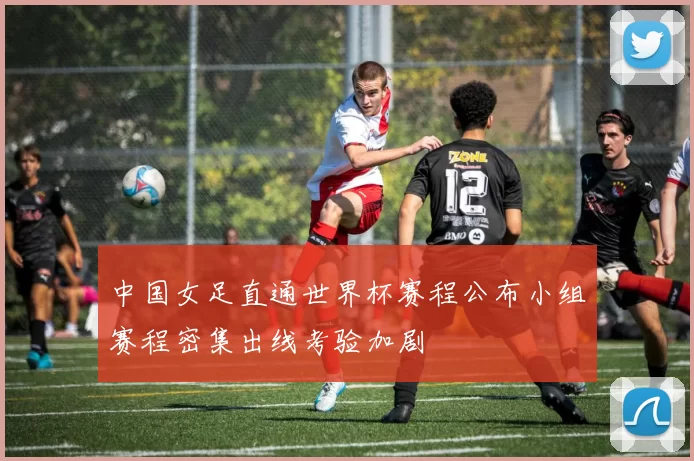中国女足直通世界杯赛程公布小组赛程密集出线考验加剧
