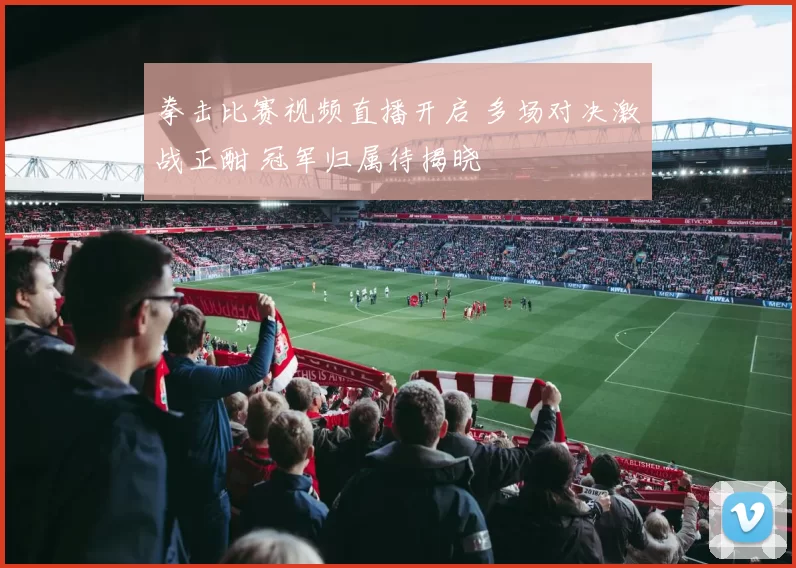 拳击比赛视频直播开启 多场对决激战正酣 冠军归属待揭晓