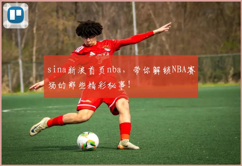 sina新浪首页nba，带你解锁NBA赛场的那些精彩秘事！
