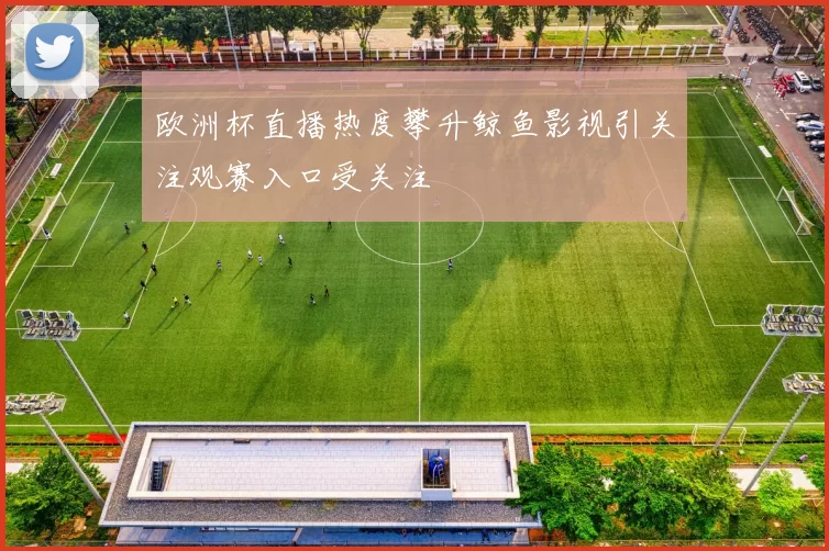 欧洲杯直播热度攀升鲸鱼影视引关注观赛入口受关注